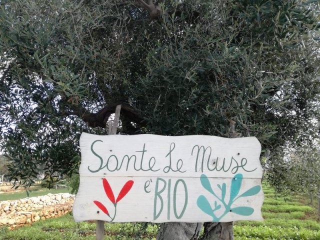 Strokovna ekskurzija LAS Italija 2018